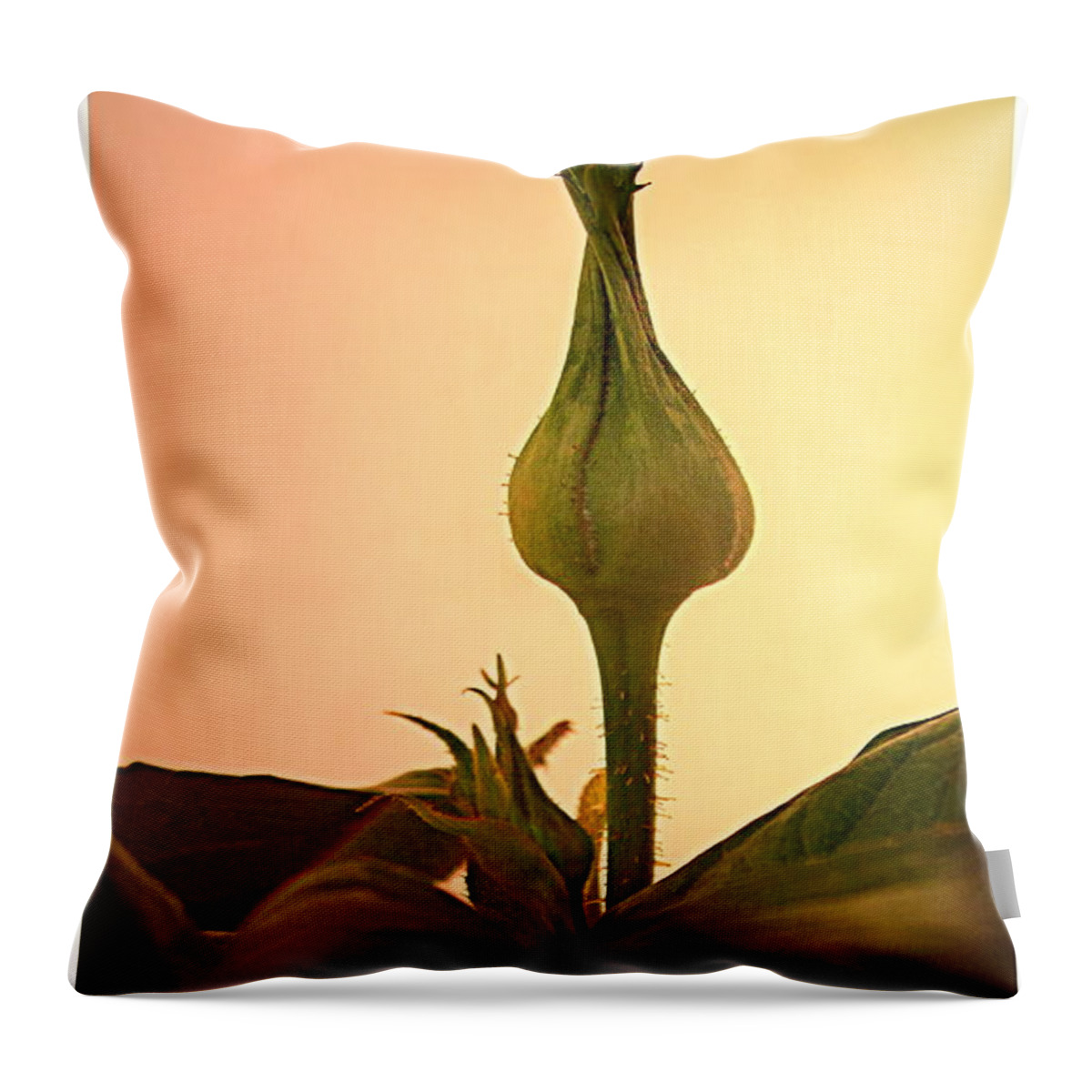 Rose Bud Throw Pillow featuring the photograph Embrace A Rose Bud Close Up by Joyce Dickens