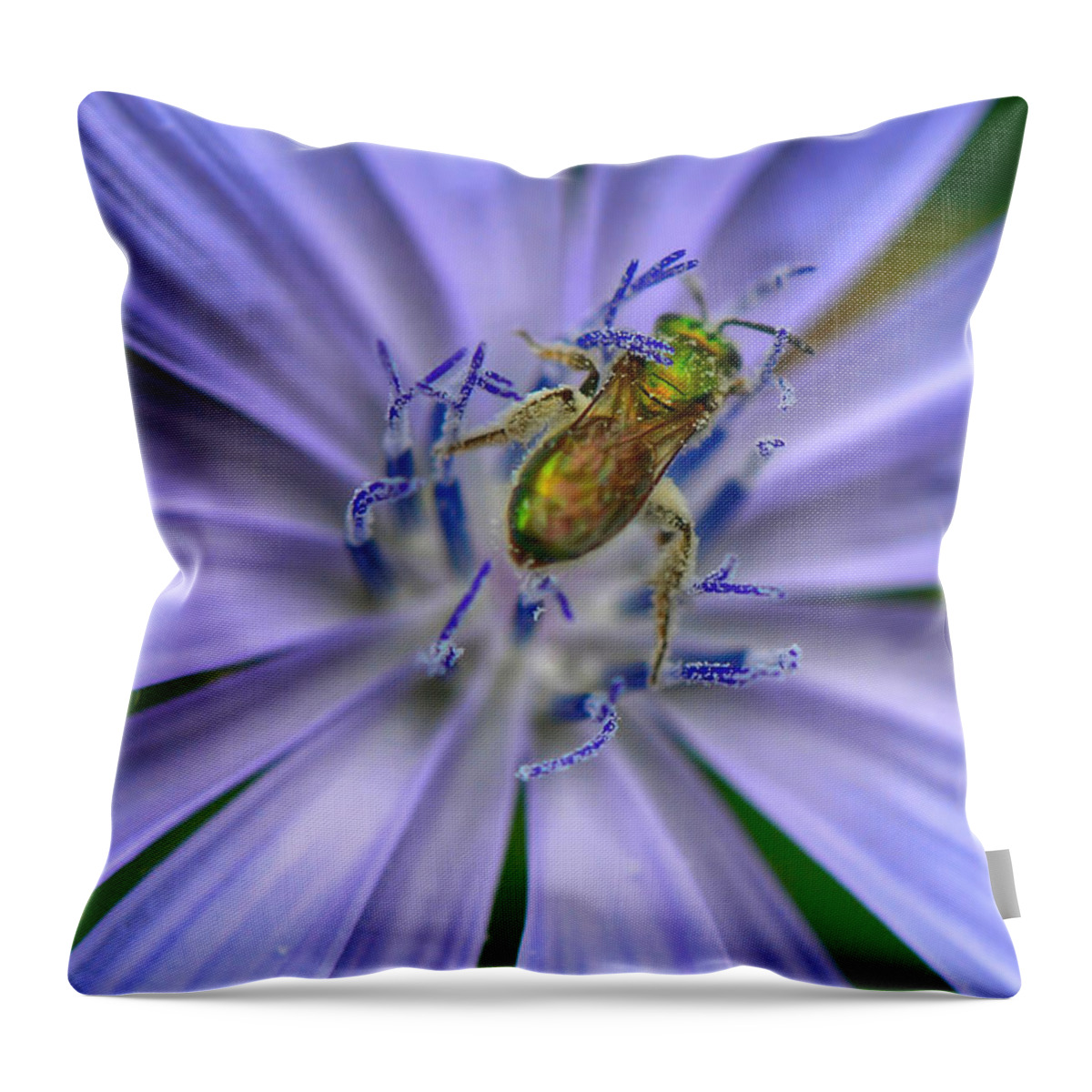 Macro Photography Throw Pillow featuring the photograph Embraced by Kerri Farley