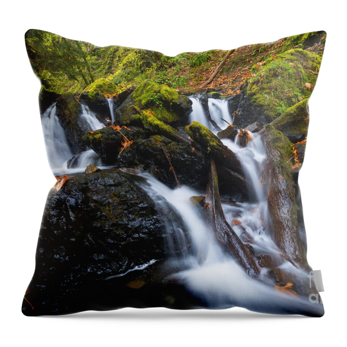 Gorton Creek Throw Pillow featuring the photograph Emerald Falls Autumn by Michael Dawson