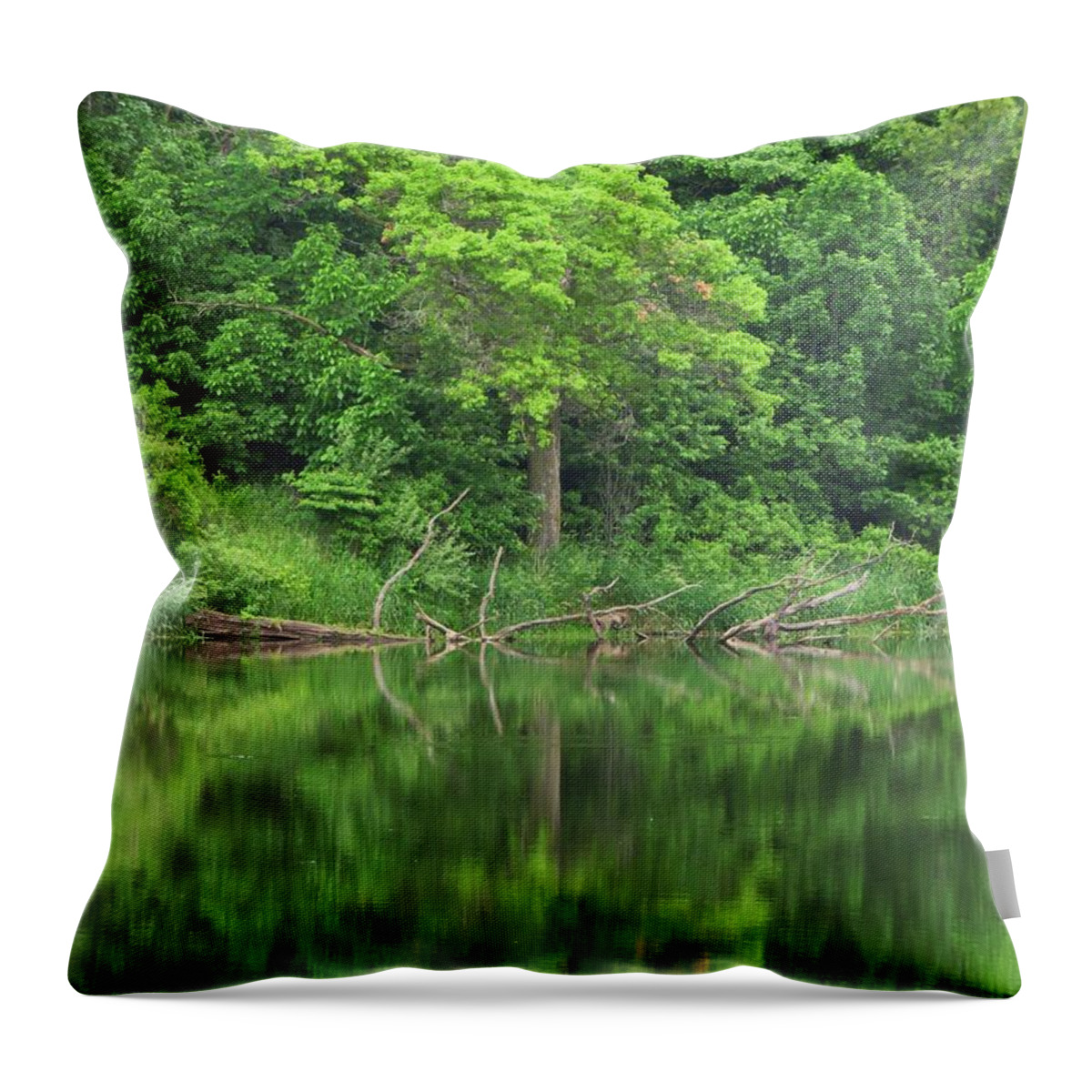 Trees Throw Pillow featuring the photograph Emerald Green Reflections by Lori Frisch