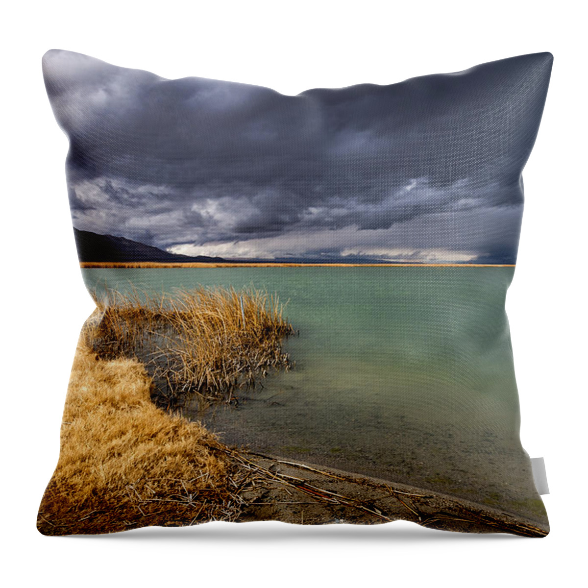 Storm Throw Pillow featuring the photograph Emerald Green Storm by Cat Connor