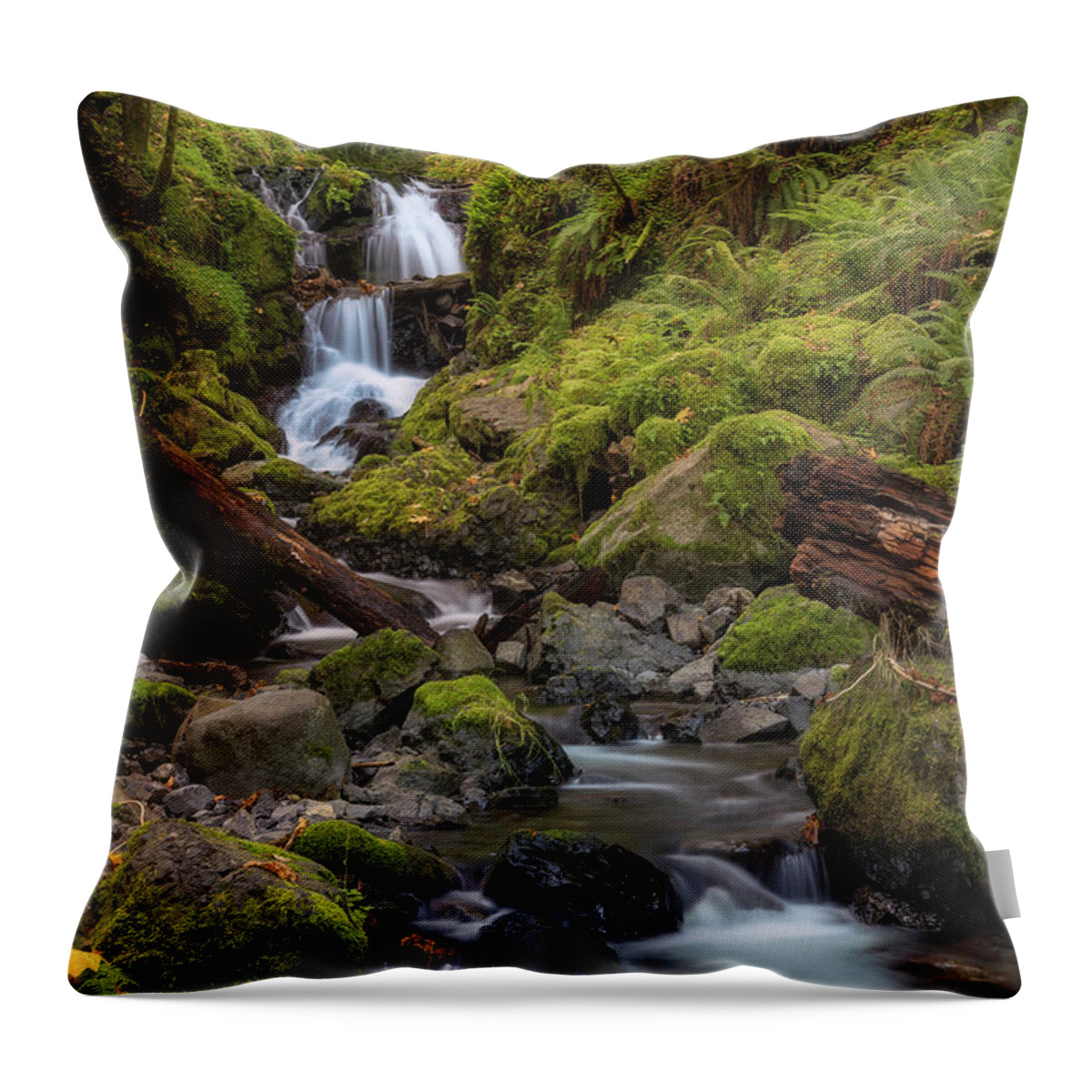 Canon Throw Pillow featuring the photograph Emerald in Autumn by Jon Ares