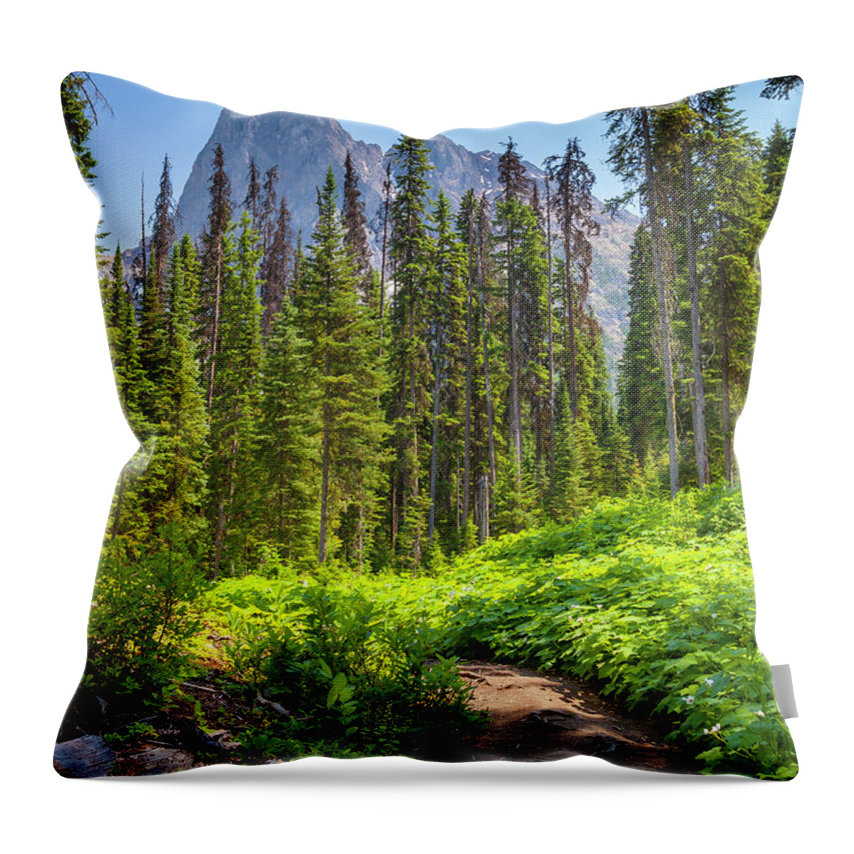 5dii Throw Pillow featuring the photograph Emerald Lake Circuit by Mark Mille