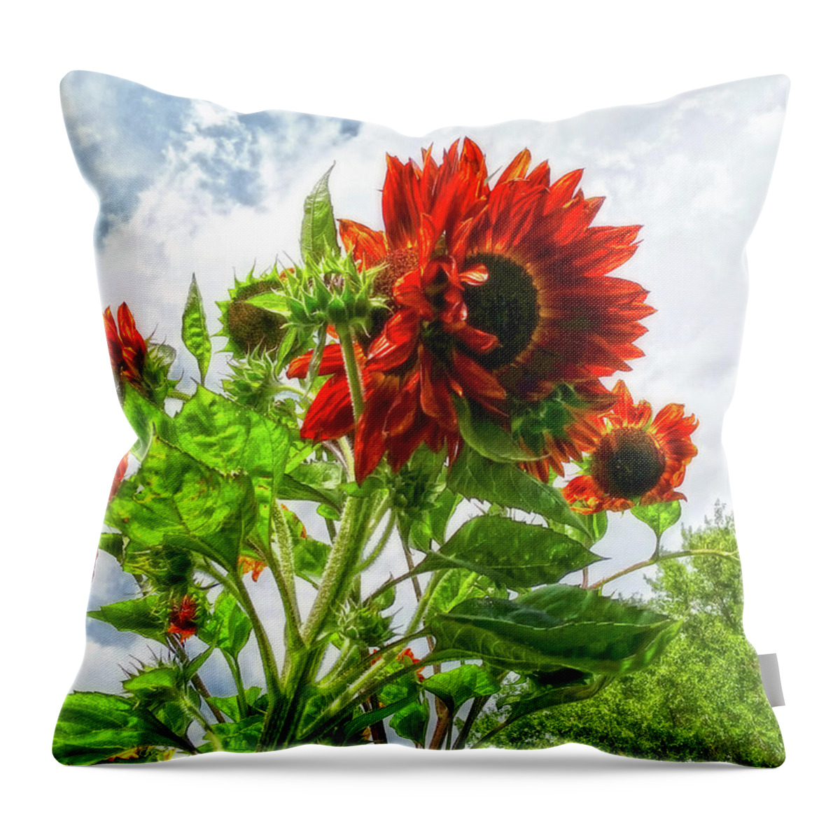 Sunflowers Throw Pillow featuring the photograph Emeralds and Fire by Amanda Smith