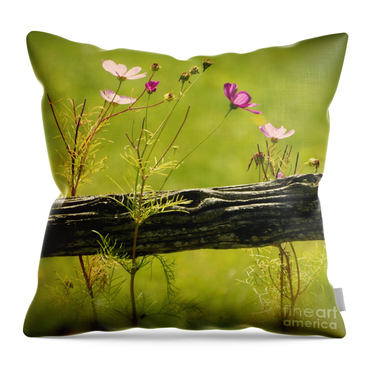 Green Throw Pillow featuring the photograph Emerging Beauties - 01-rgnl-sq by Variance Collections