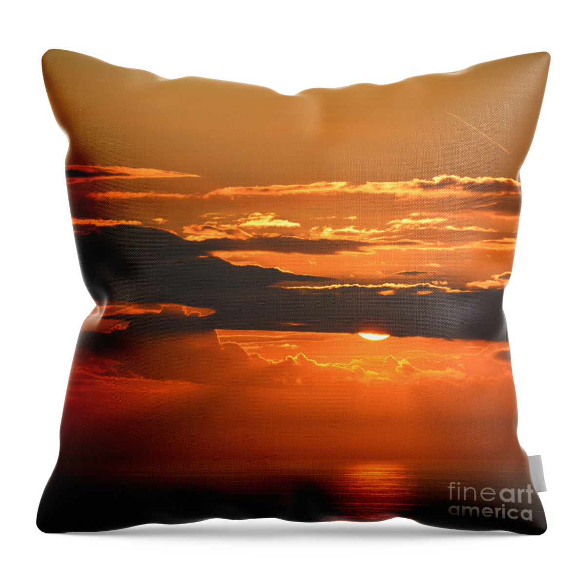 Emerging Throw Pillow featuring the photograph Emerging by Paul Davenport