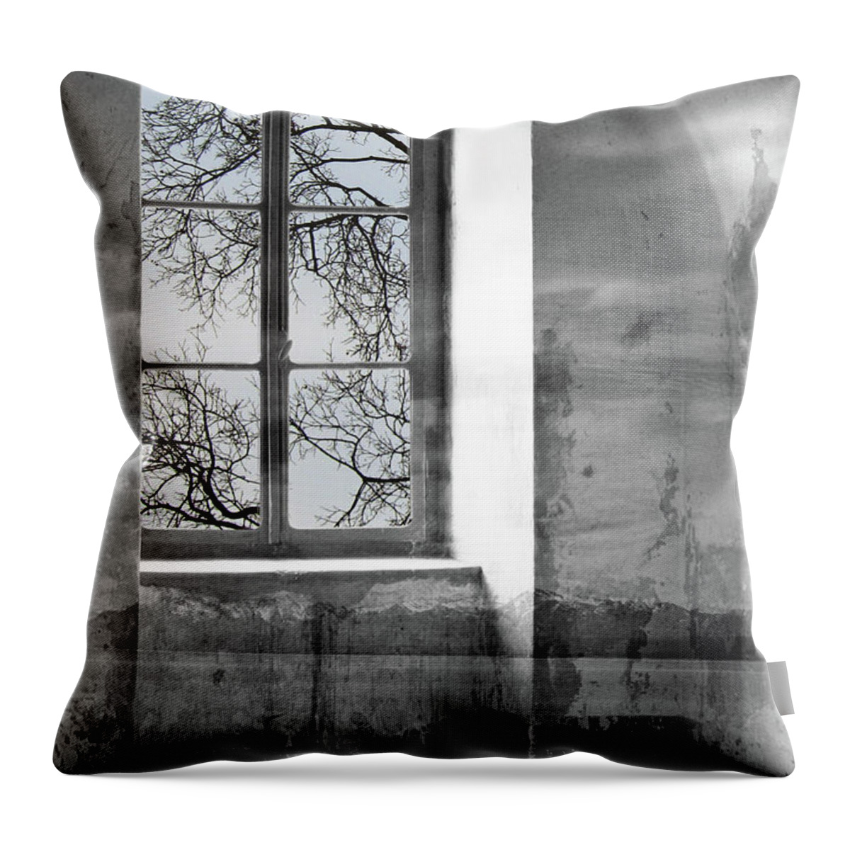 Emptiness Throw Pillow featuring the photograph Emptiness by Munir Alawi