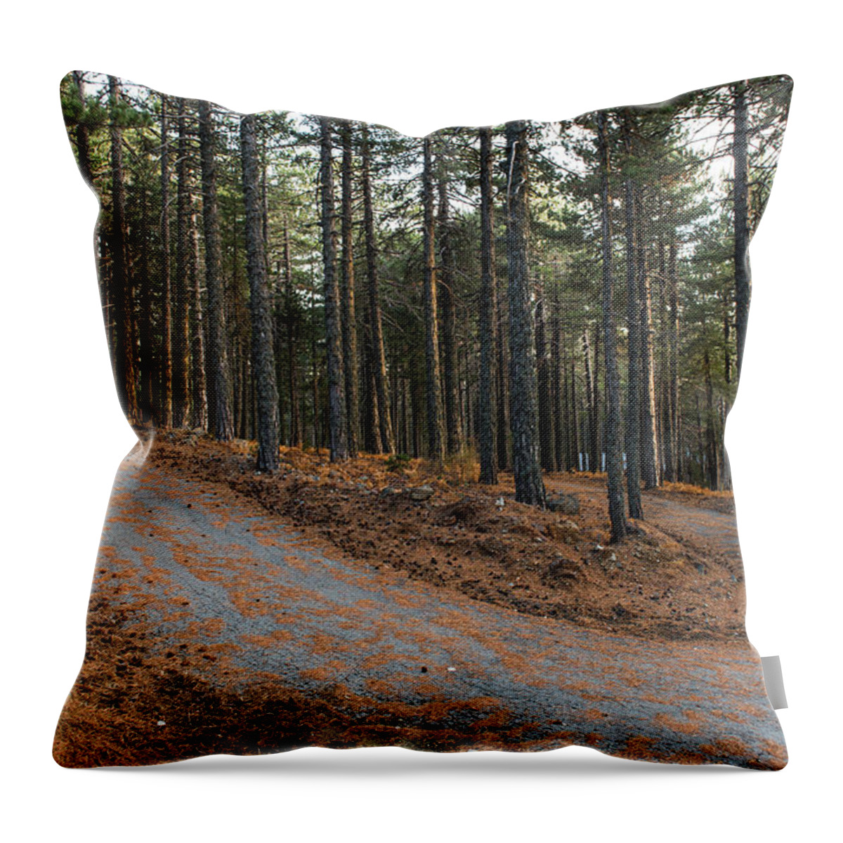 Forest Landscape Throw Pillow featuring the photograph Empty road passing through the forest in Autumn by Michalakis Ppalis