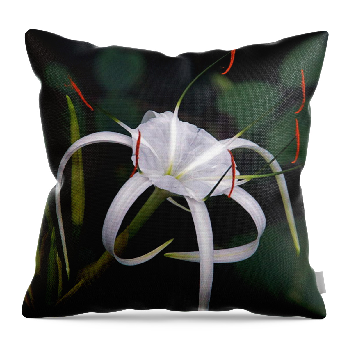 Spider Lily Throw Pillow featuring the photograph En Pointe by Byron Varvarigos