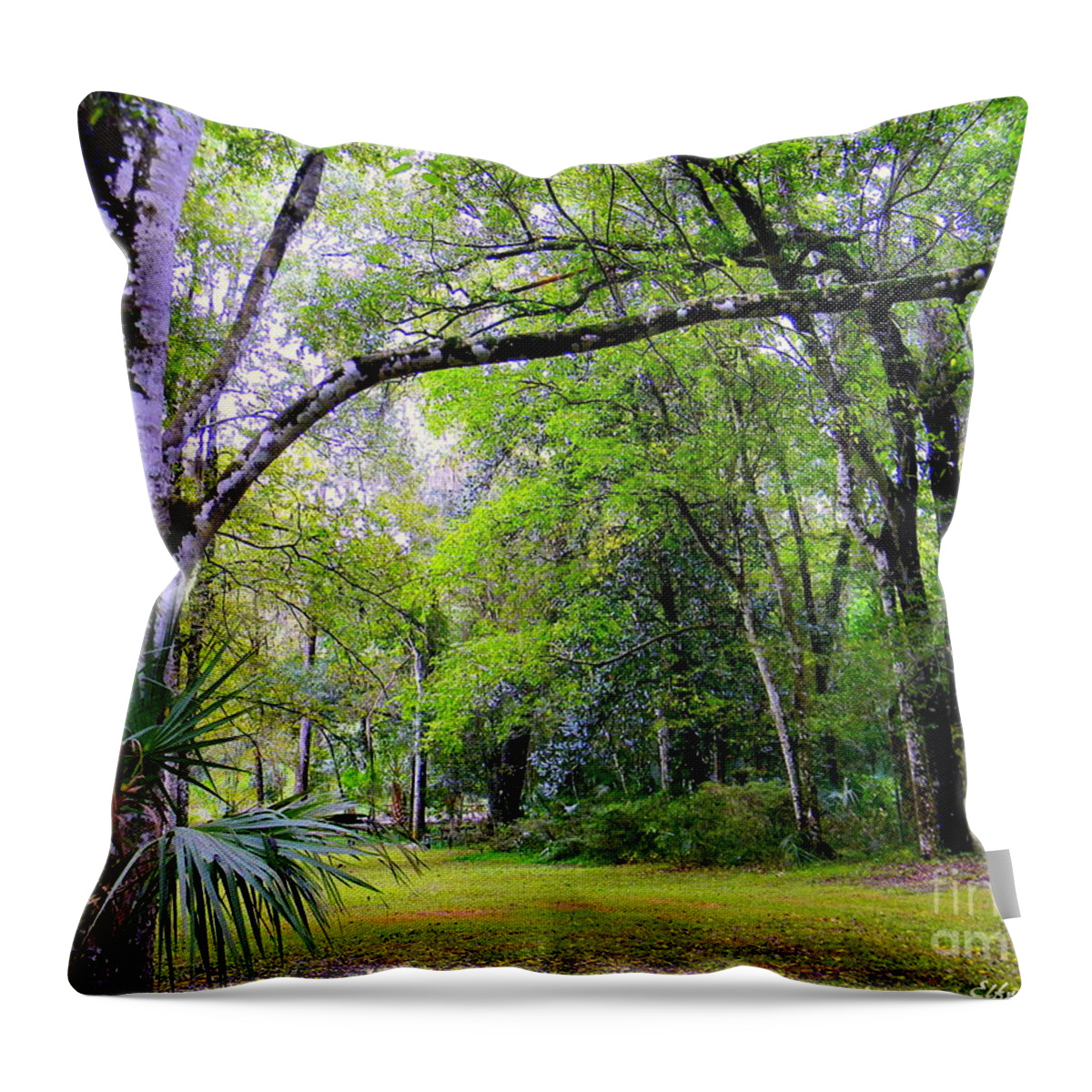 Florida Throw Pillow featuring the photograph Enchanted by Elfriede Fulda