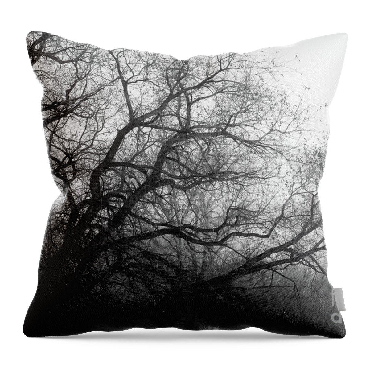 Spooky Throw Pillow featuring the photograph Enchanted Forest by Ana V Ramirez