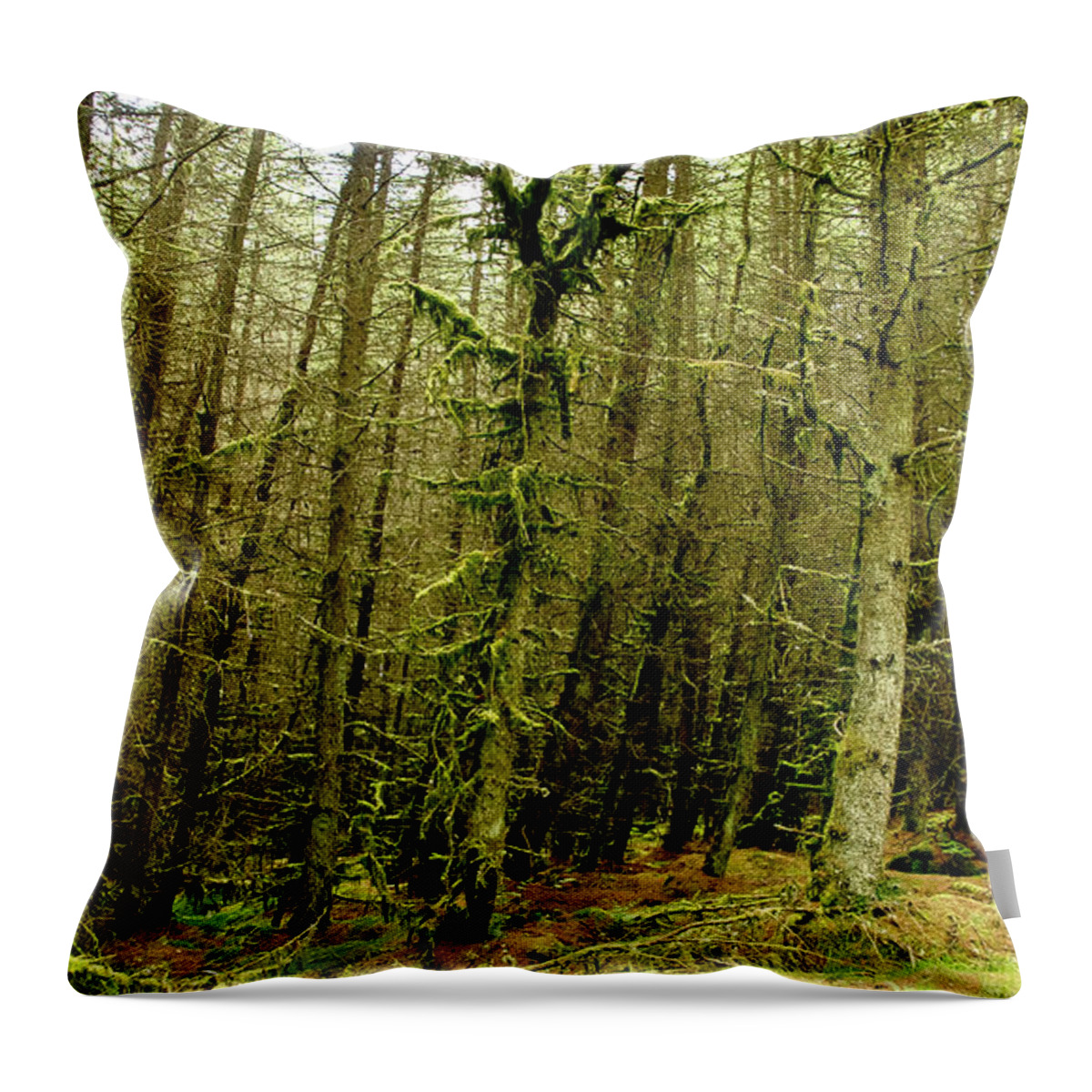 Woods Throw Pillow featuring the photograph Enchanted Forest by Elena Perelman