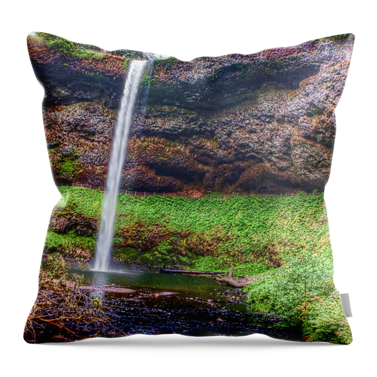 Forest Throw Pillow featuring the photograph Enchanted Forest by Ryan Smith