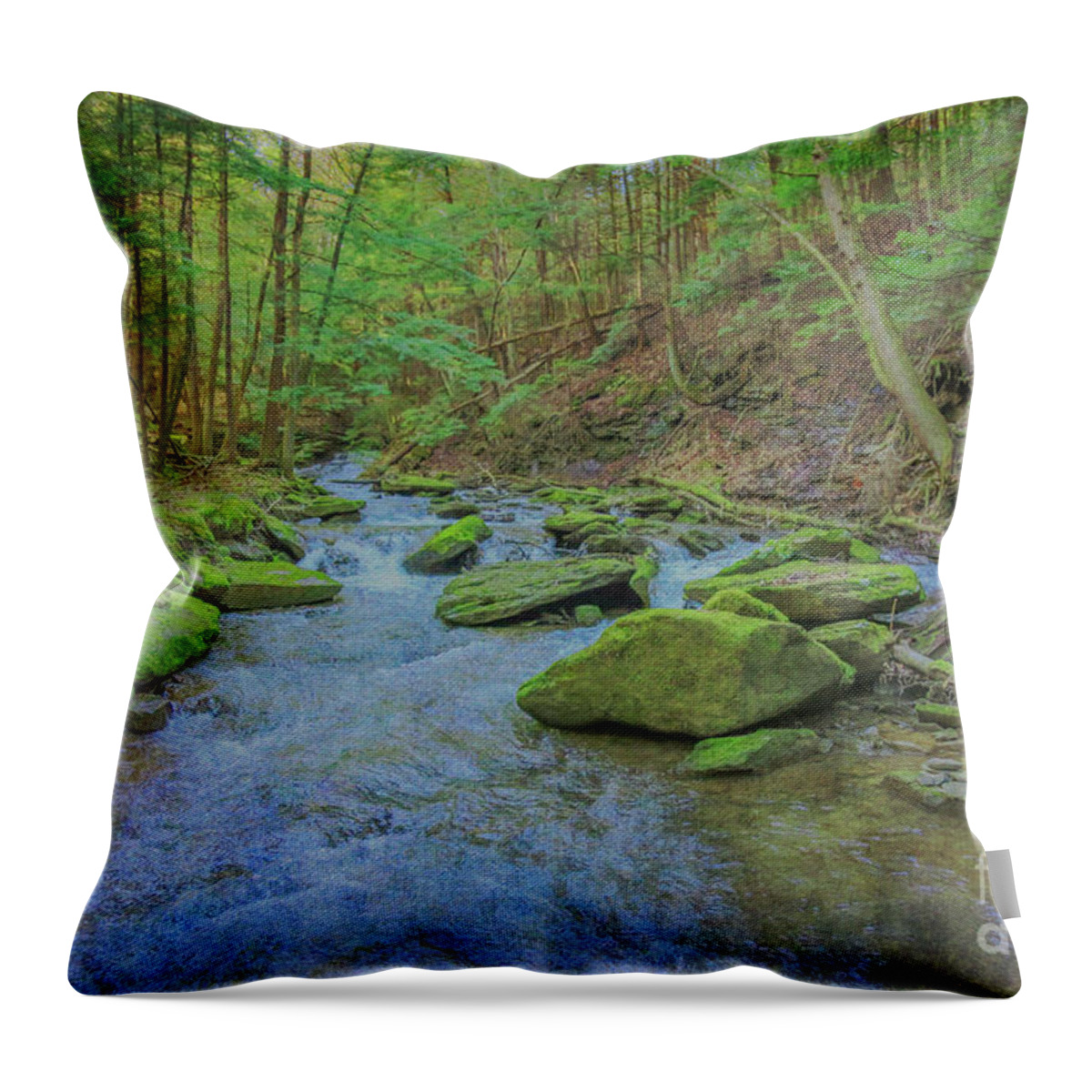 Enchanted Forest Three Throw Pillow featuring the digital art Enchanted Forest Three by Randy Steele