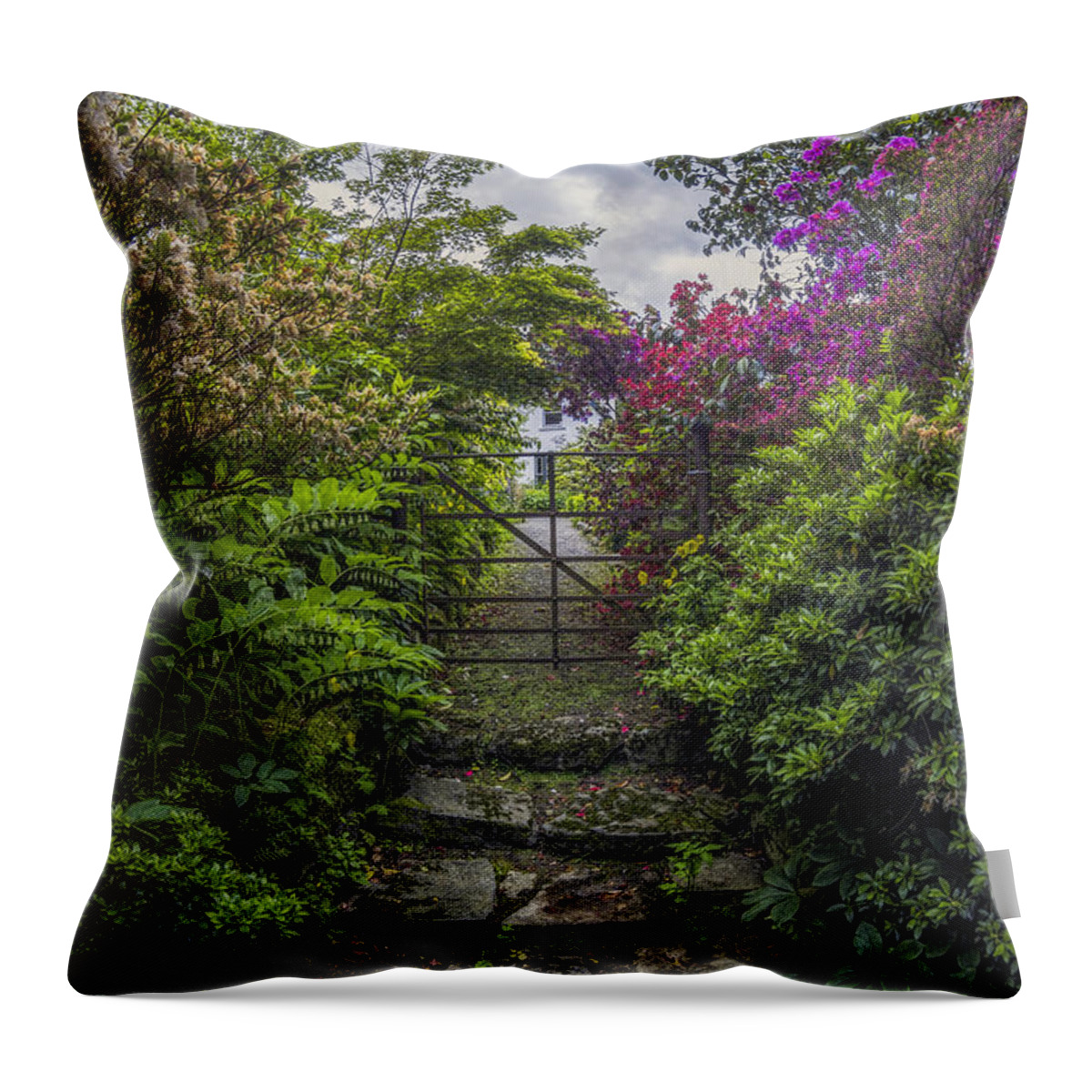 Garden Throw Pillow featuring the photograph Enchanted Garden by Ian Mitchell