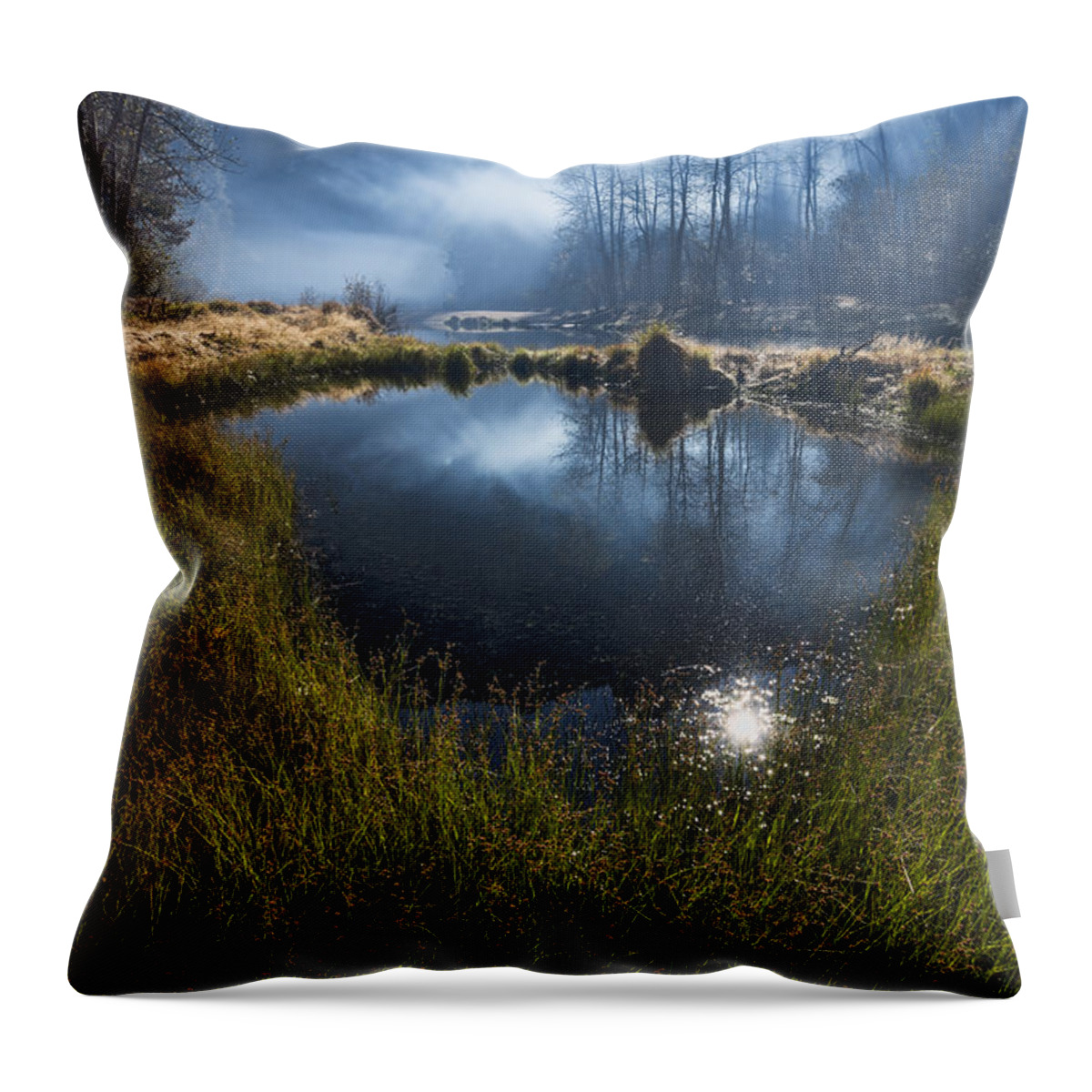 Yosemite Throw Pillow featuring the photograph Enchanted Pond by Dan McGeorge