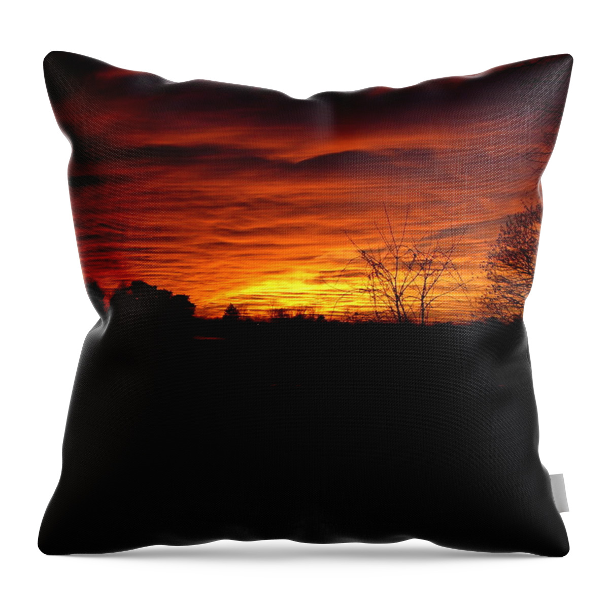 Landscape Throw Pillow featuring the photograph End Of Day by Traci Goebel