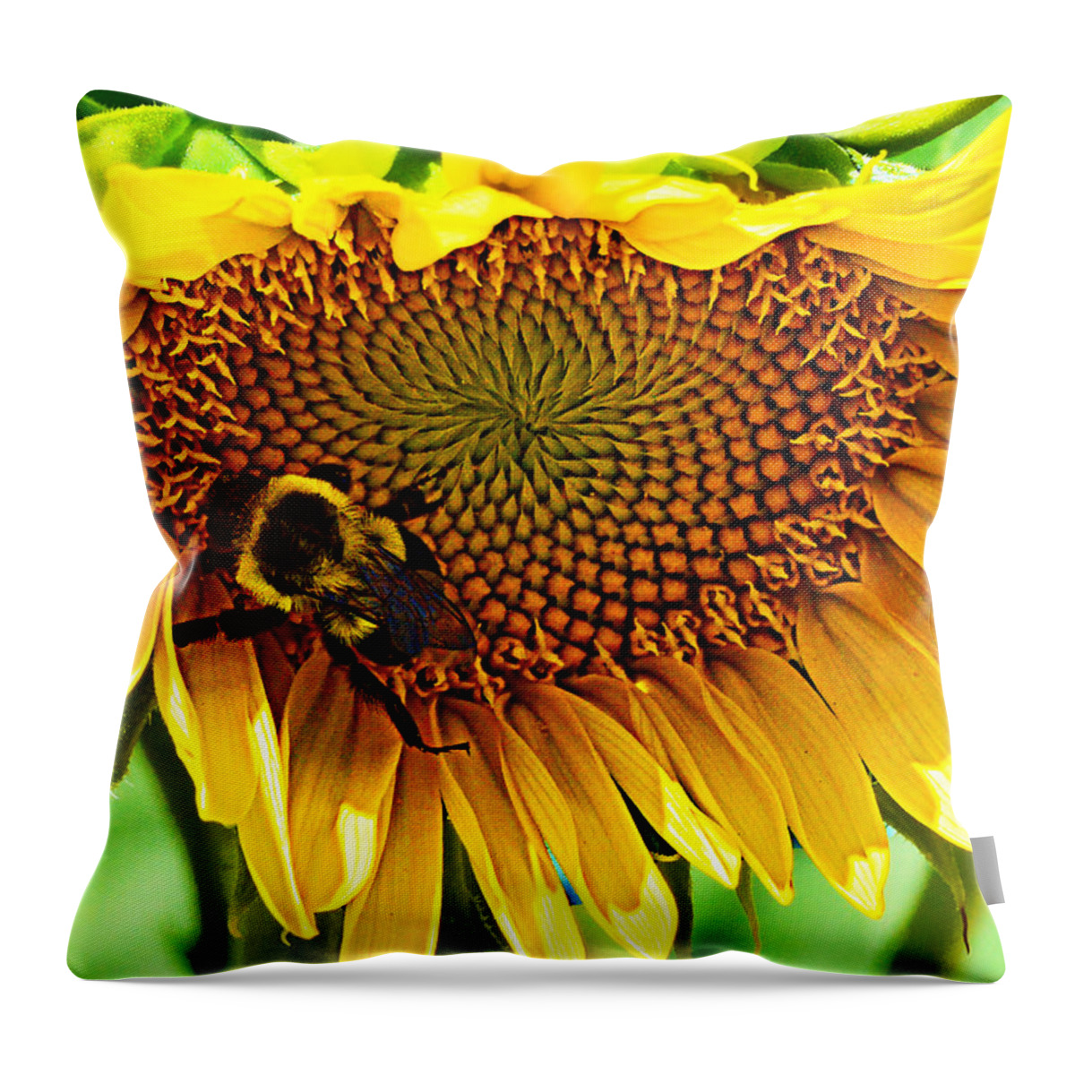 Sunflower Throw Pillow featuring the photograph End of Summer by Kathy Kelly