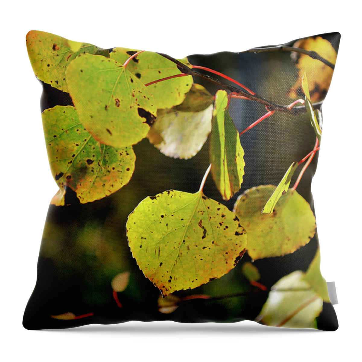 Nature Throw Pillow featuring the photograph End Of Summer by Ron Cline