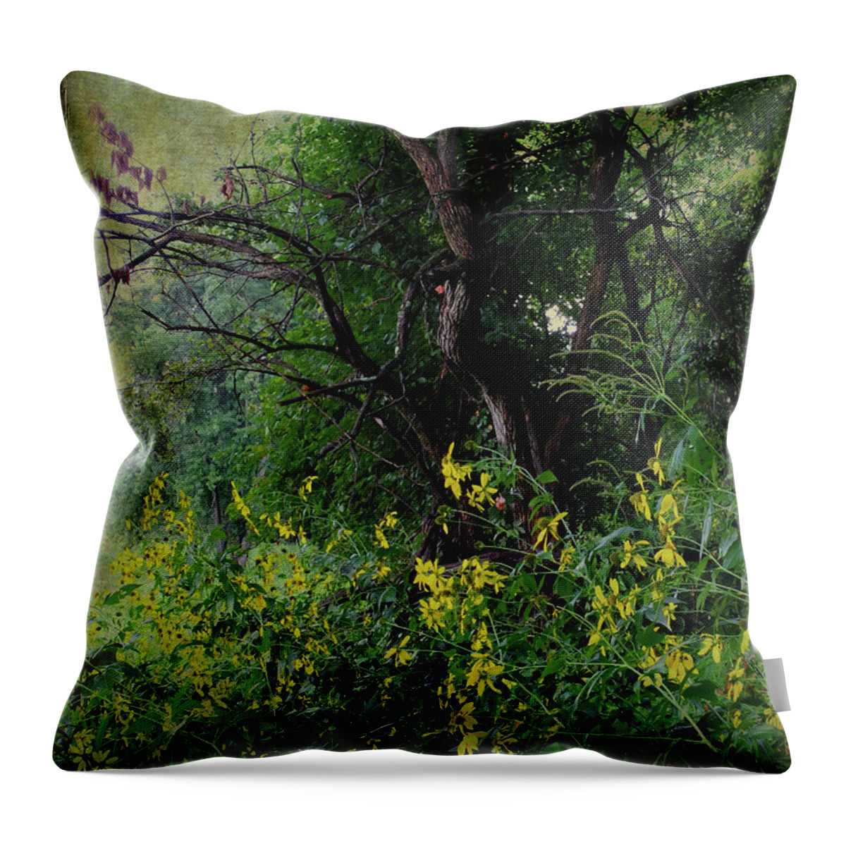 Woods Throw Pillow featuring the photograph End of Summer by Scott Kingery