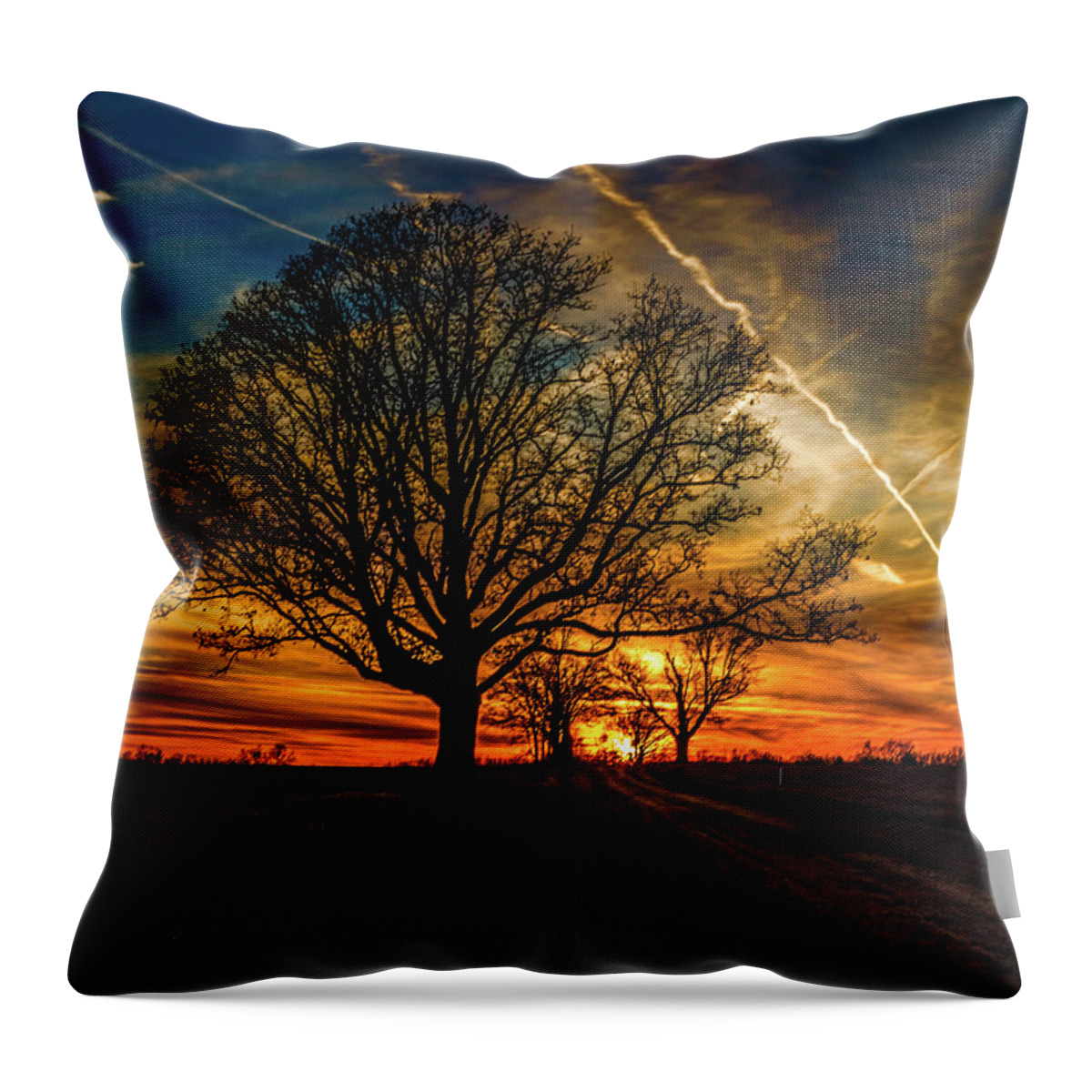Tree Throw Pillow featuring the photograph End of the Day by Joe Holley