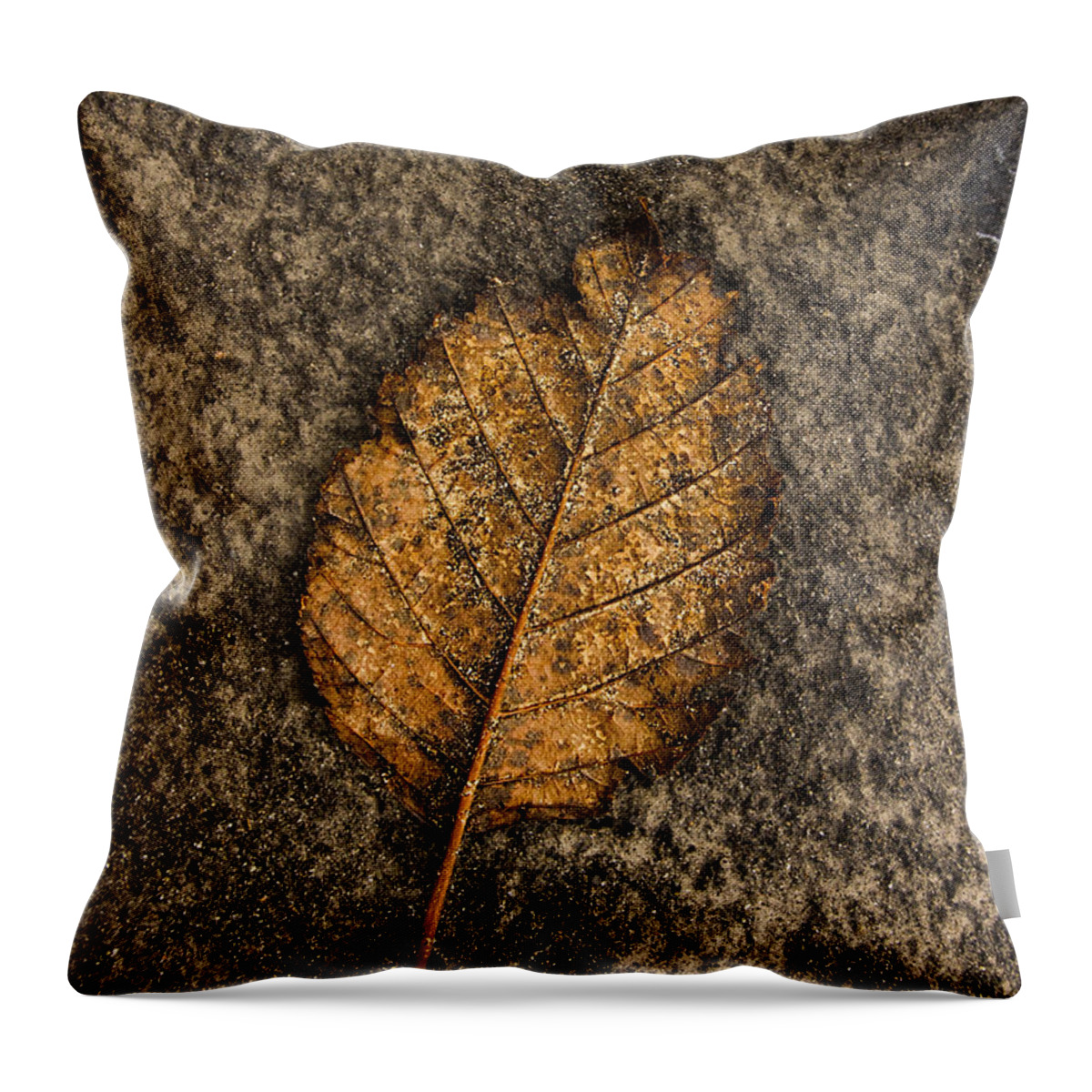 Brown Throw Pillow featuring the photograph End of the Year by Fred Denner