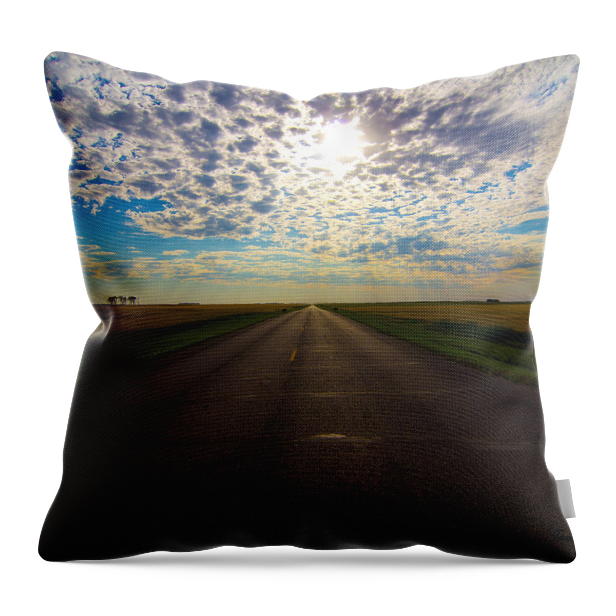 Highway Throw Pillow featuring the photograph Endless Highway by Jana Rosenkranz