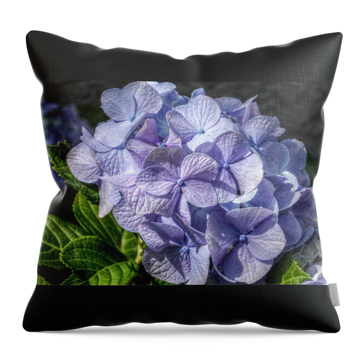 Hydrangea Throw Pillow featuring the photograph Endless Summer Hydrangea by Jean Connor