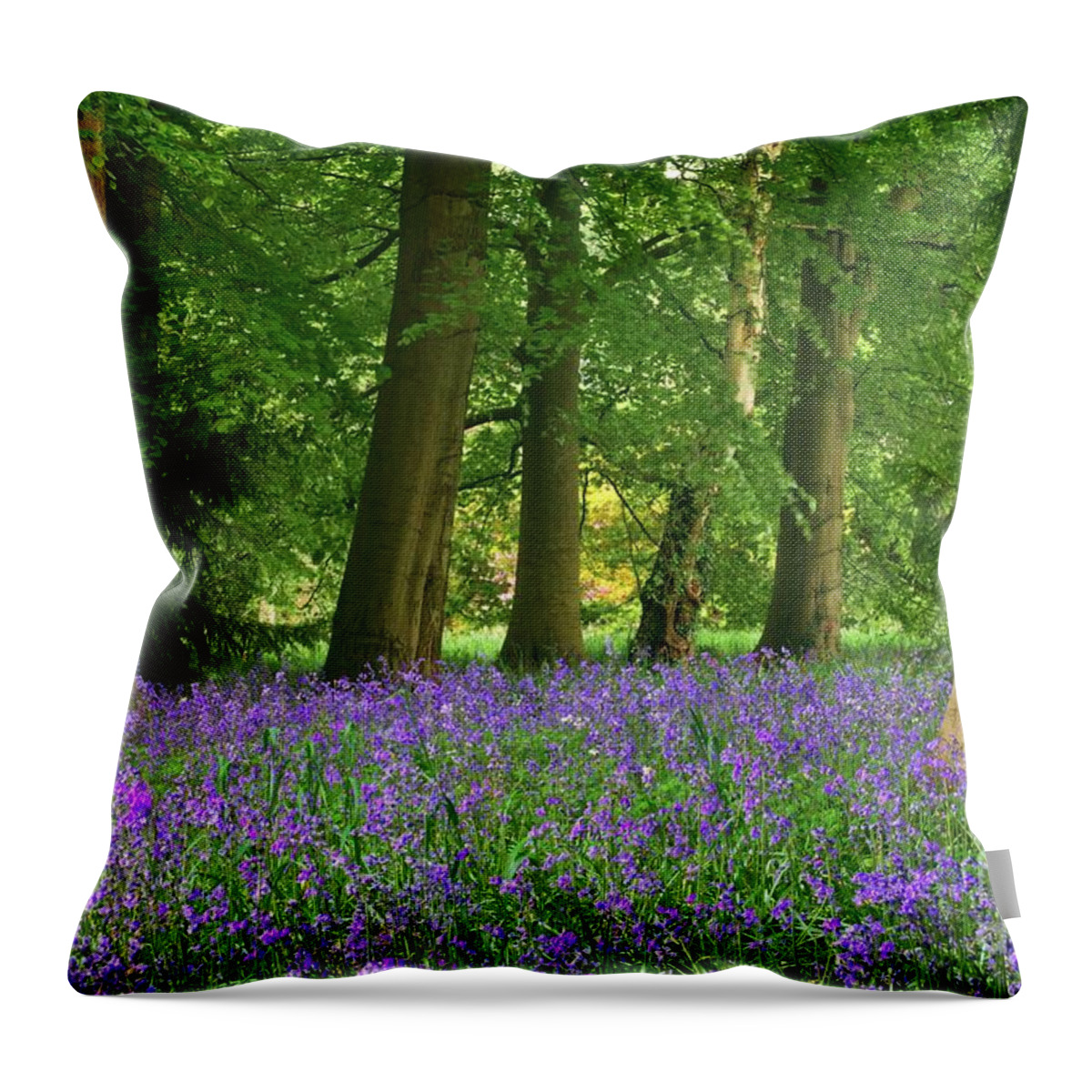 Bluebells Throw Pillow featuring the photograph English Bluebell Woodland by Martyn Arnold