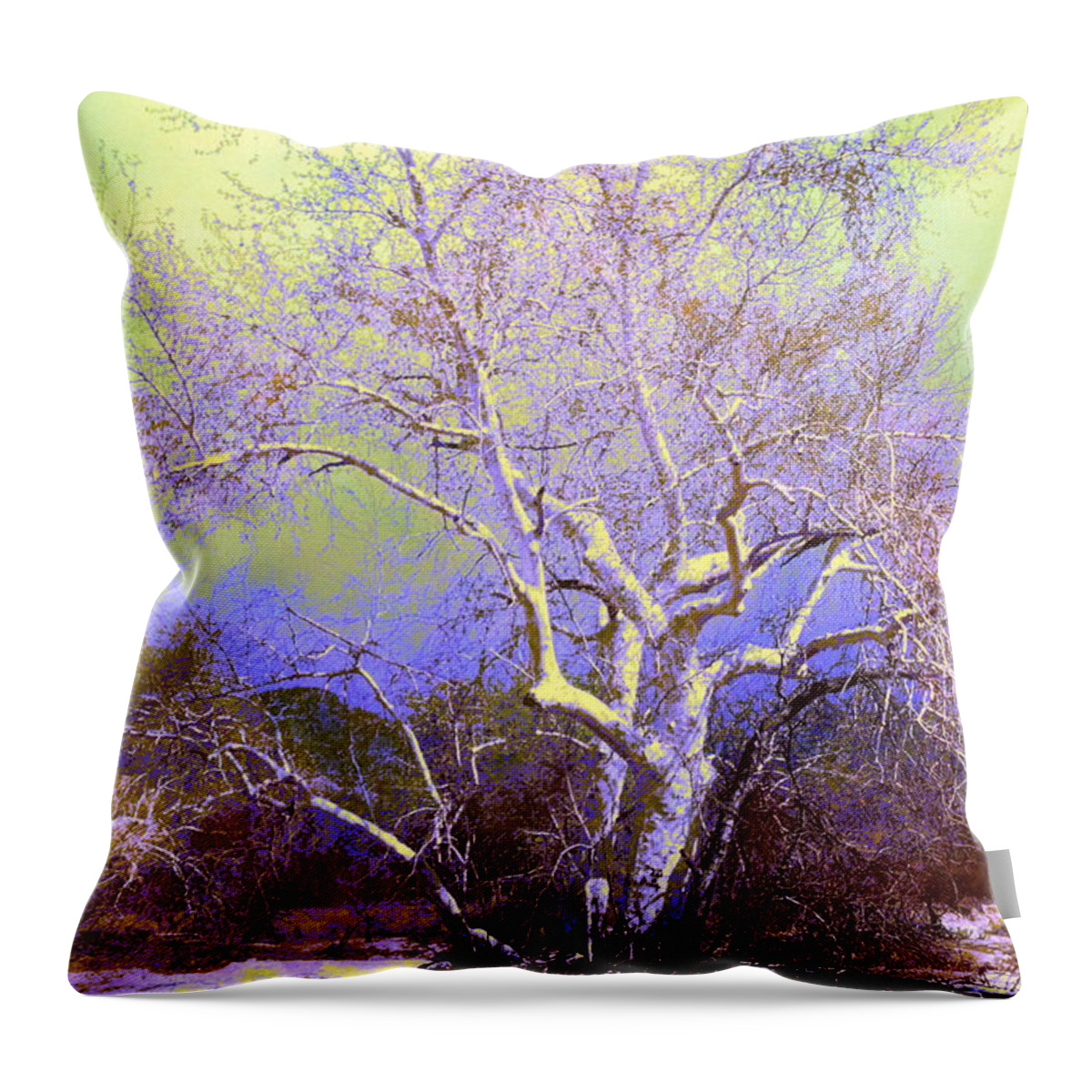 Tucson Throw Pillow featuring the photograph Enhanced Cottonwood Tree by M Diane Bonaparte