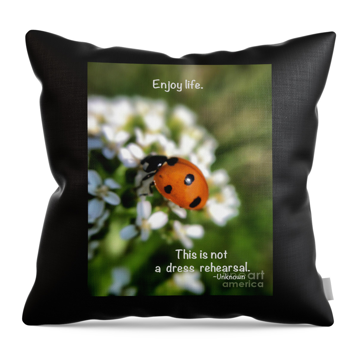 Ladybug Throw Pillow featuring the photograph Enjoy Life by Kerri Farley