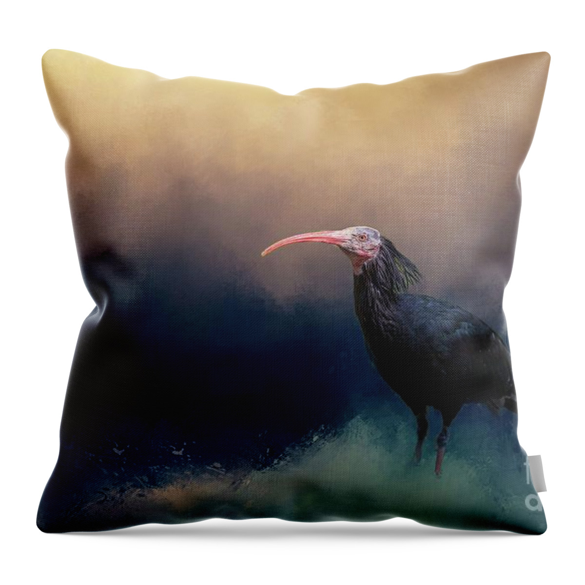Northern Bald Ibis Throw Pillow featuring the photograph Enjoying the Waves by Eva Lechner