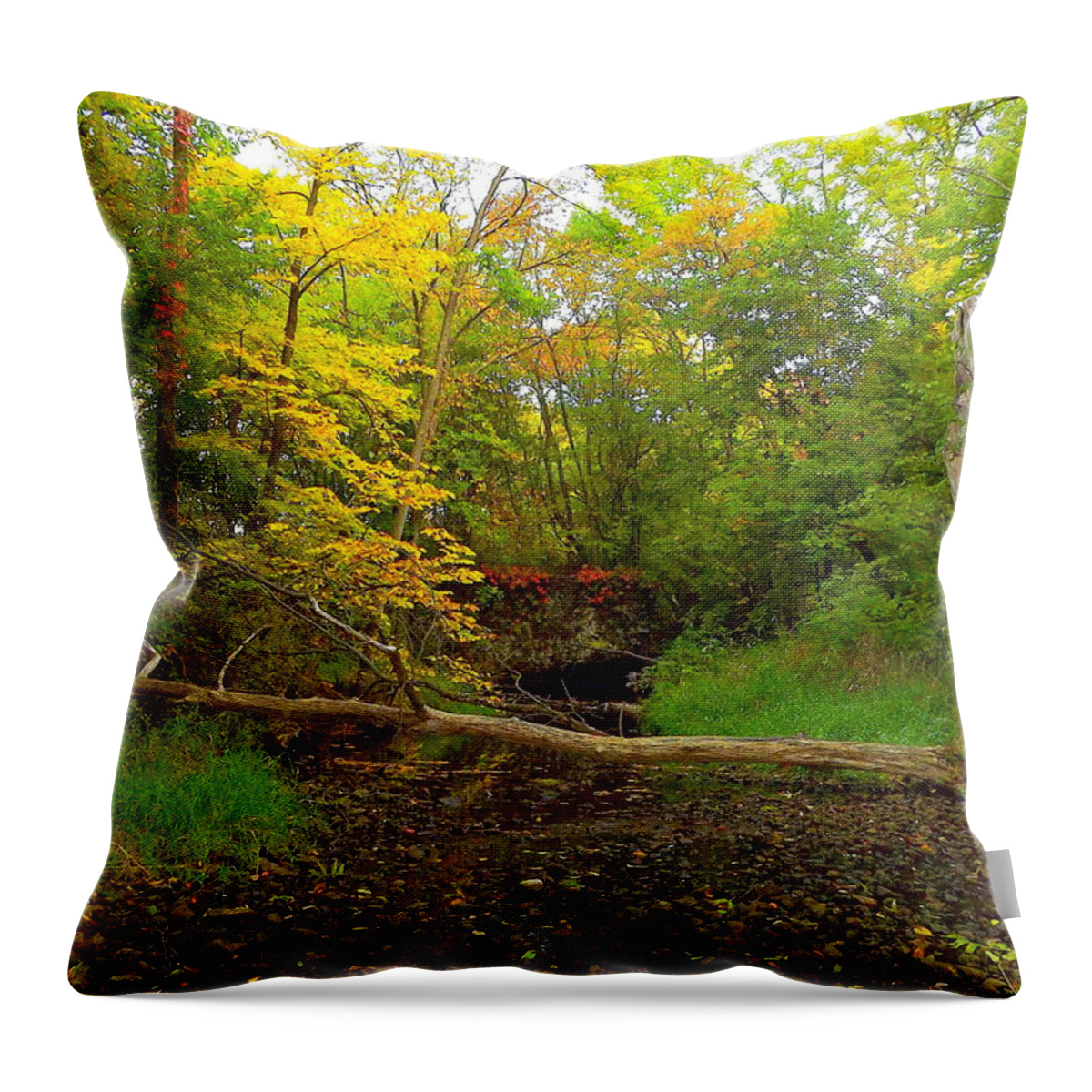 Carver Roehl Park Throw Pillow featuring the photograph Enter Autumn by Viviana Nadowski