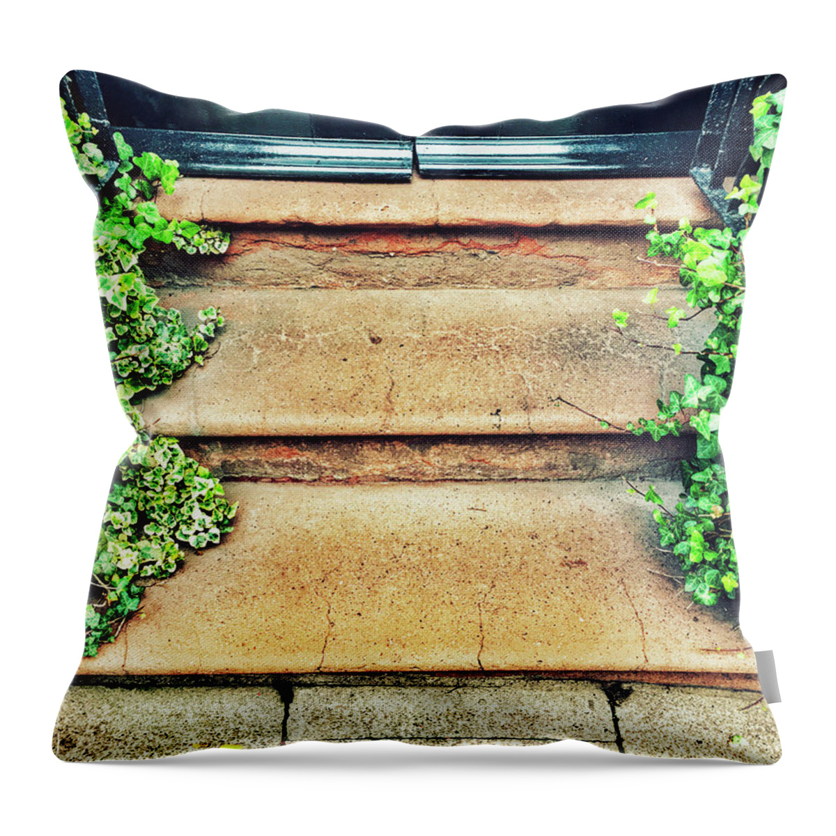 Abstract Throw Pillow featuring the photograph Entrance steps detail by Tom Gowanlock