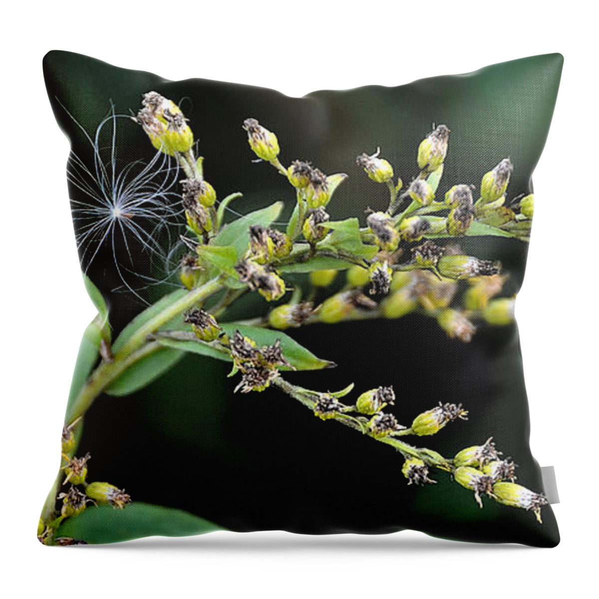 Thistle Throw Pillow featuring the photograph Entrapped by Mark Fuller