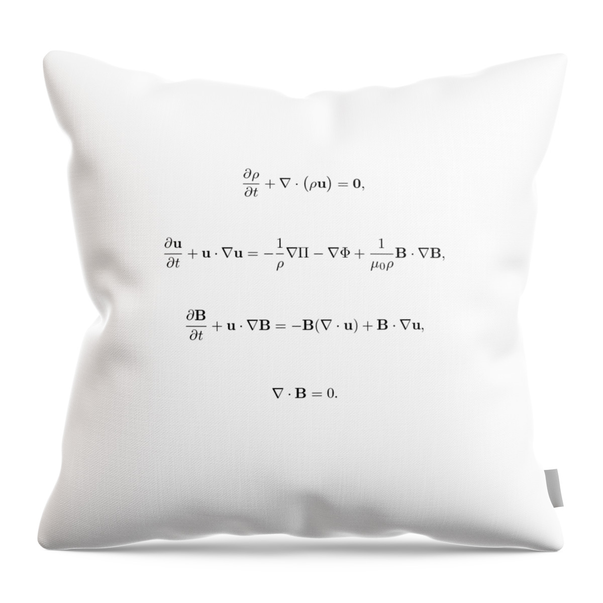 Physics Throw Pillow featuring the photograph Equation by Jean Noren