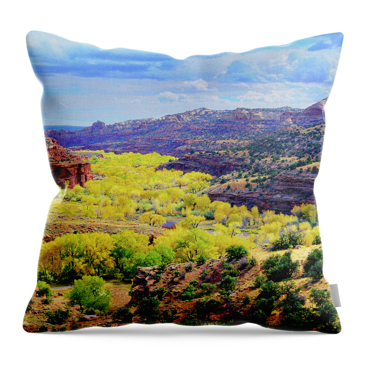 Utah Throw Pillow featuring the photograph Escalante Canyon by Frank Houck