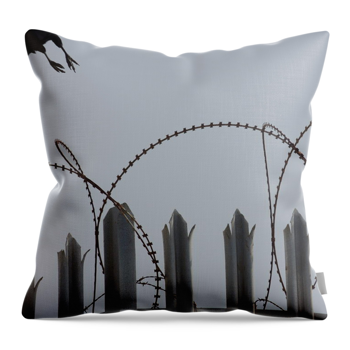 Bird Throw Pillow featuring the photograph Escape to freedom by Jeremy Holton