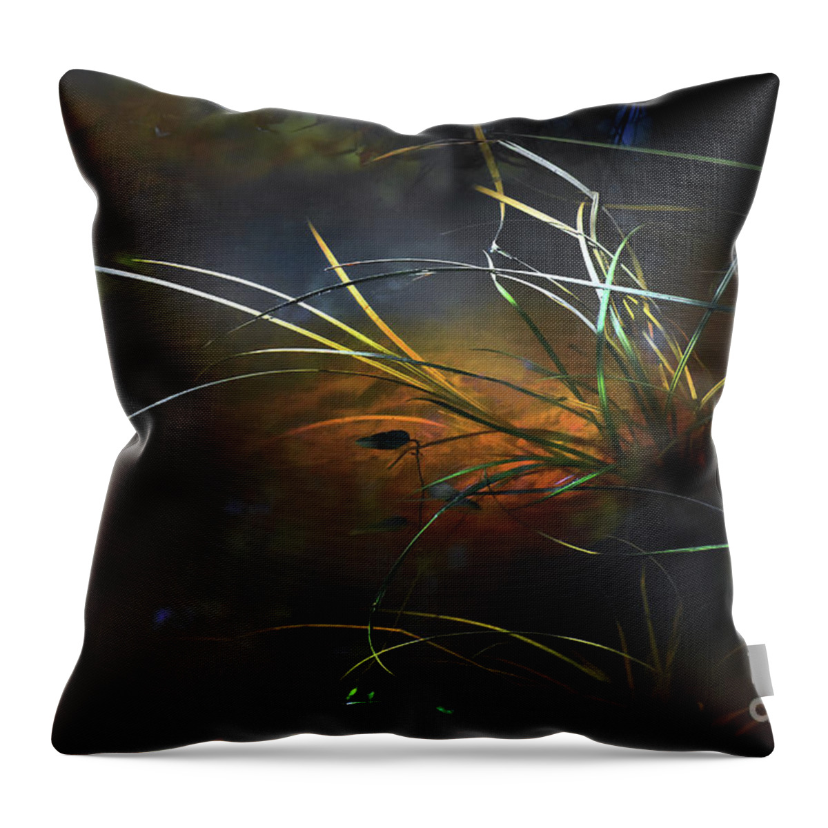 Scenic Throw Pillow featuring the photograph Essence Of Swamp by Skip Willits