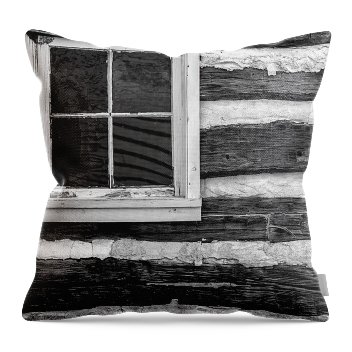 Cabin Throw Pillow featuring the photograph Establishment by Holly Ross