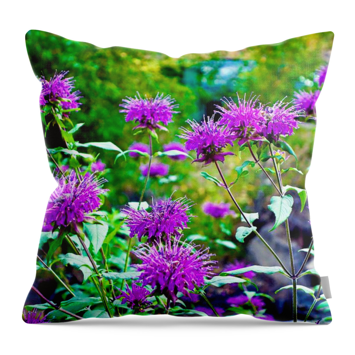 Tall Grasses Throw Pillow featuring the photograph Estes Park Fall Study 2 by Robert Meyers-Lussier