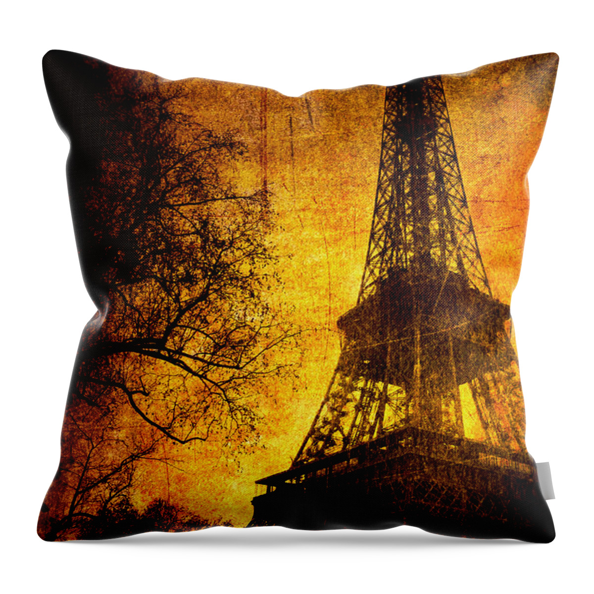 Eiffel Throw Pillow featuring the photograph Esthetic Luster by Andrew Paranavitana