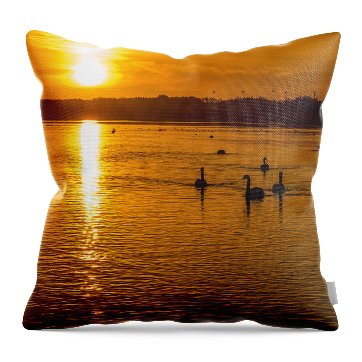Outdoor Throw Pillow featuring the photograph Estuary Sunset by Martina Fagan