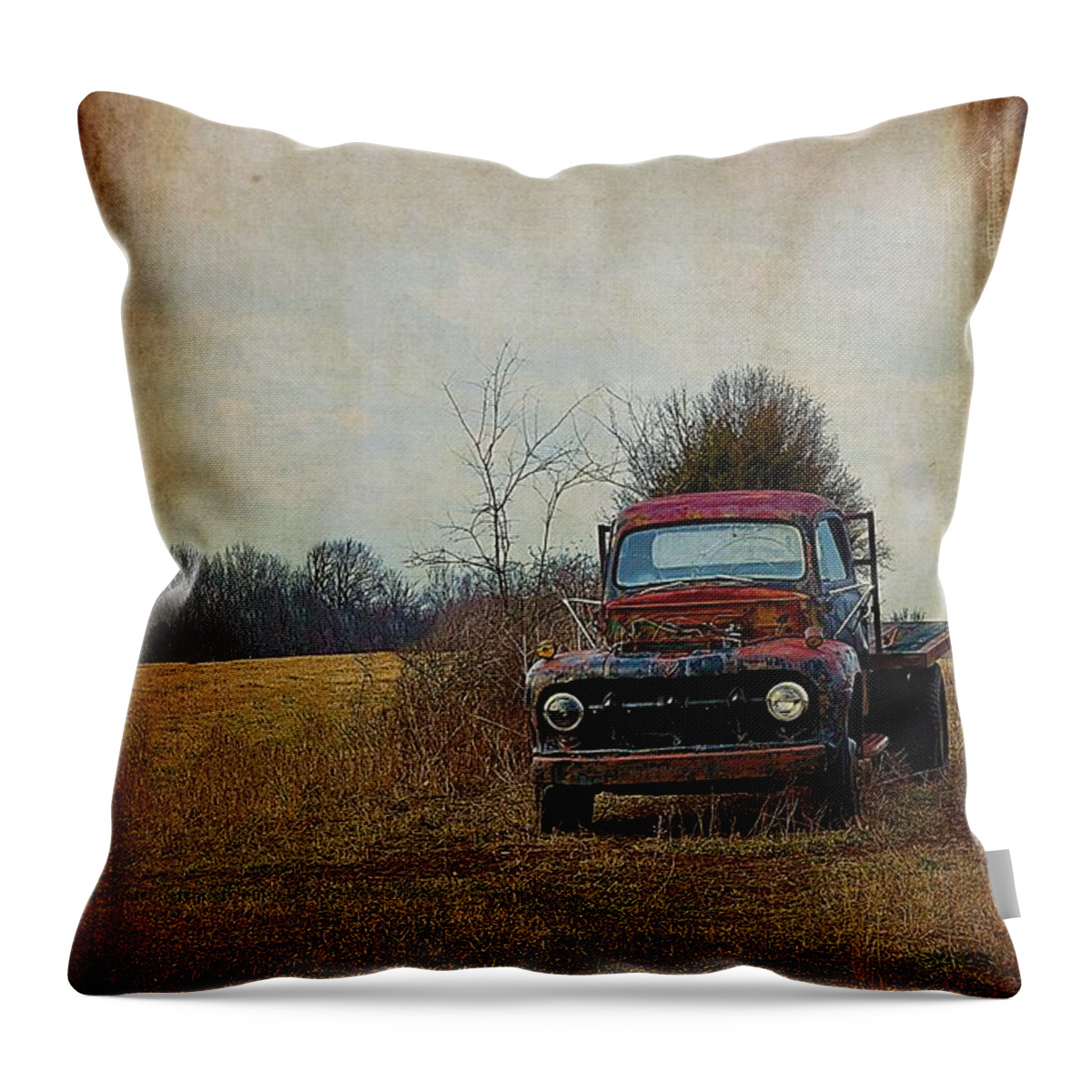 Trucks Throw Pillow featuring the photograph Eternal Resting Place by Jan Amiss Photography