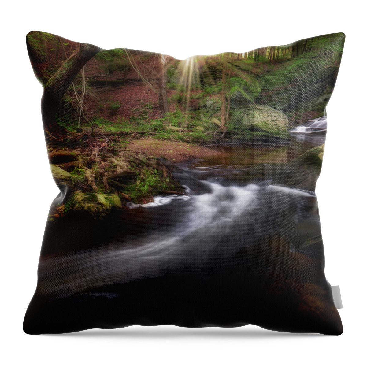 New England Throw Pillow featuring the photograph Ethereal Morning 2017 by Bill Wakeley