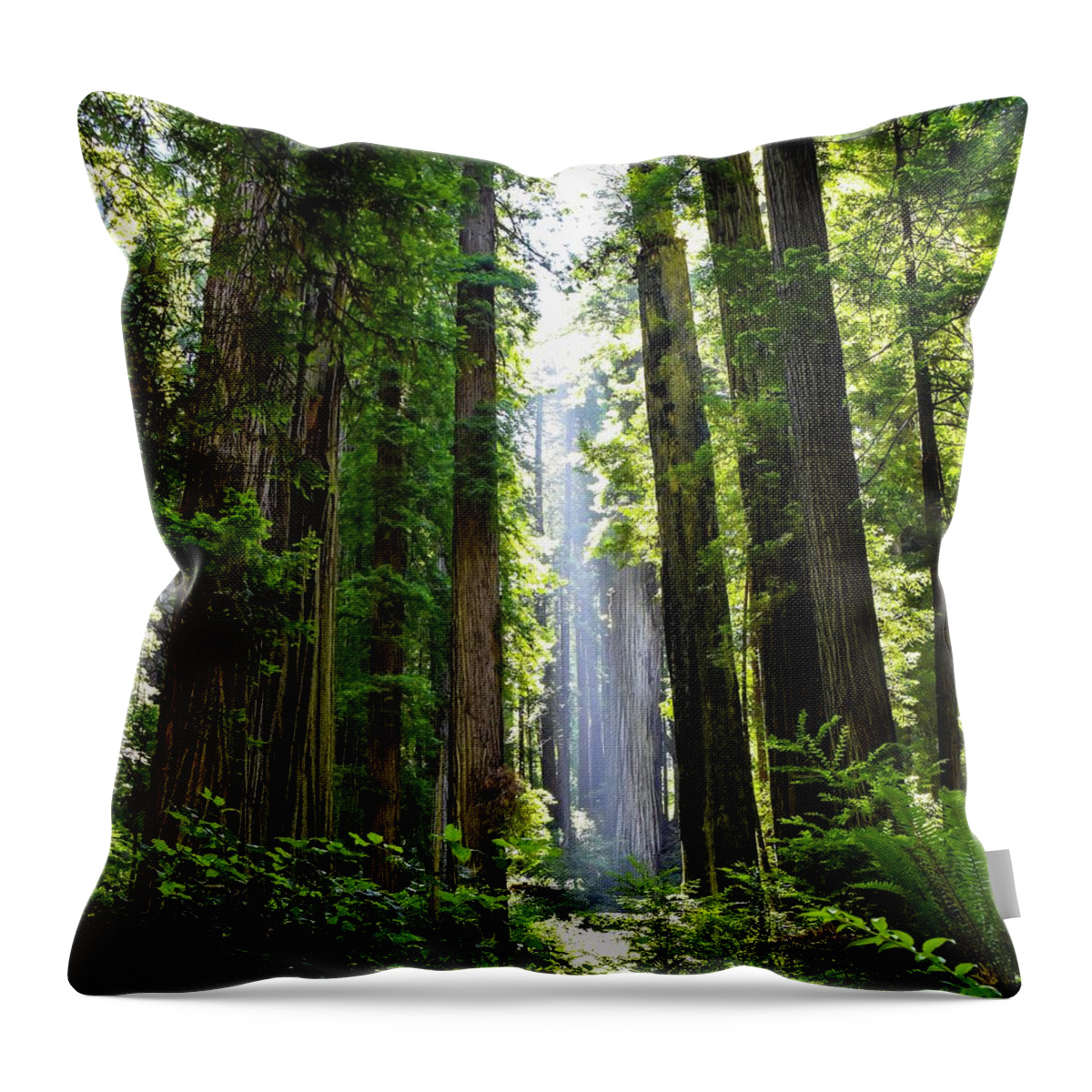 Redwood Tree Throw Pillow featuring the photograph Ethereal Tree by Rand Ningali