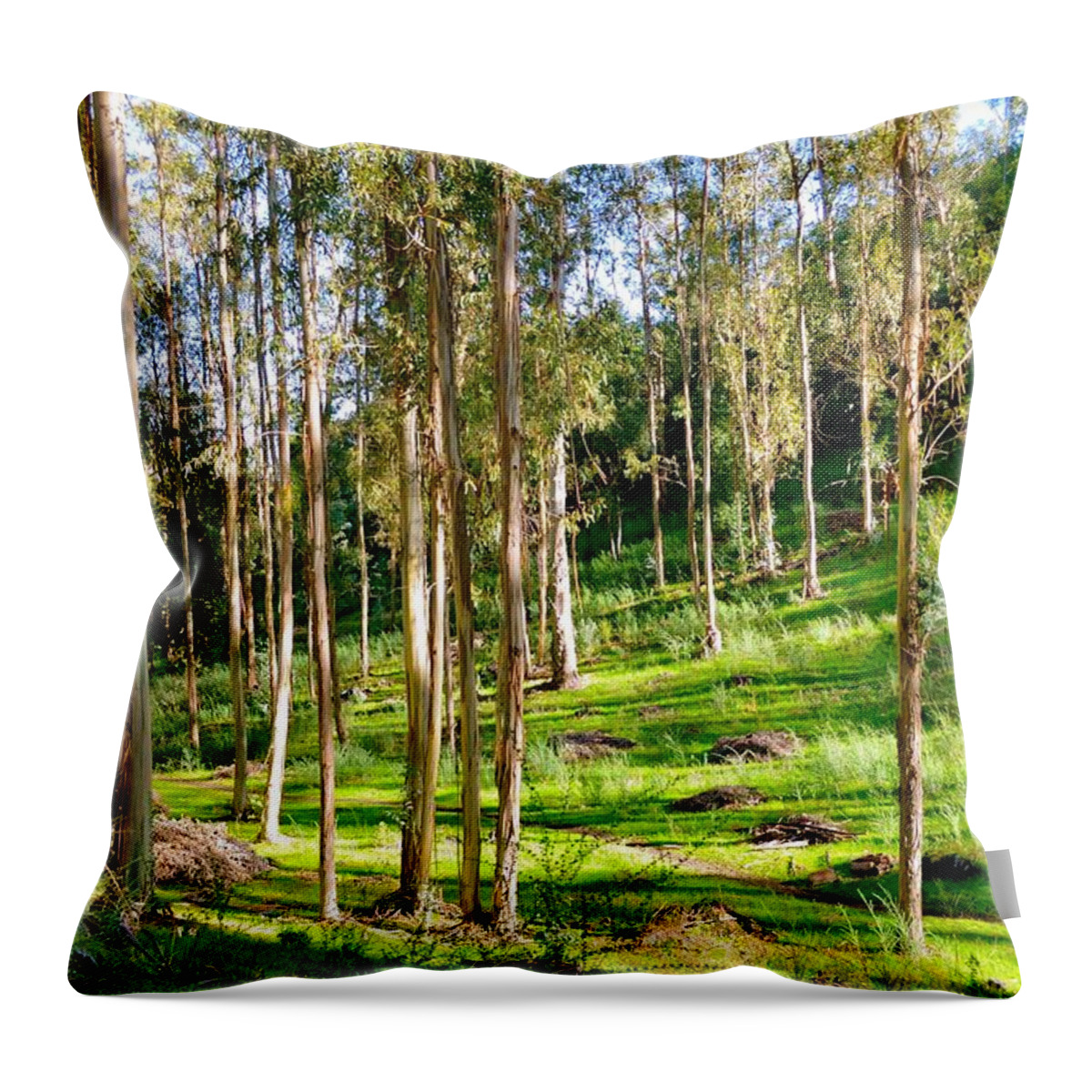 Eucalyptus Throw Pillow featuring the photograph Eucalyptus by Maria Jansson