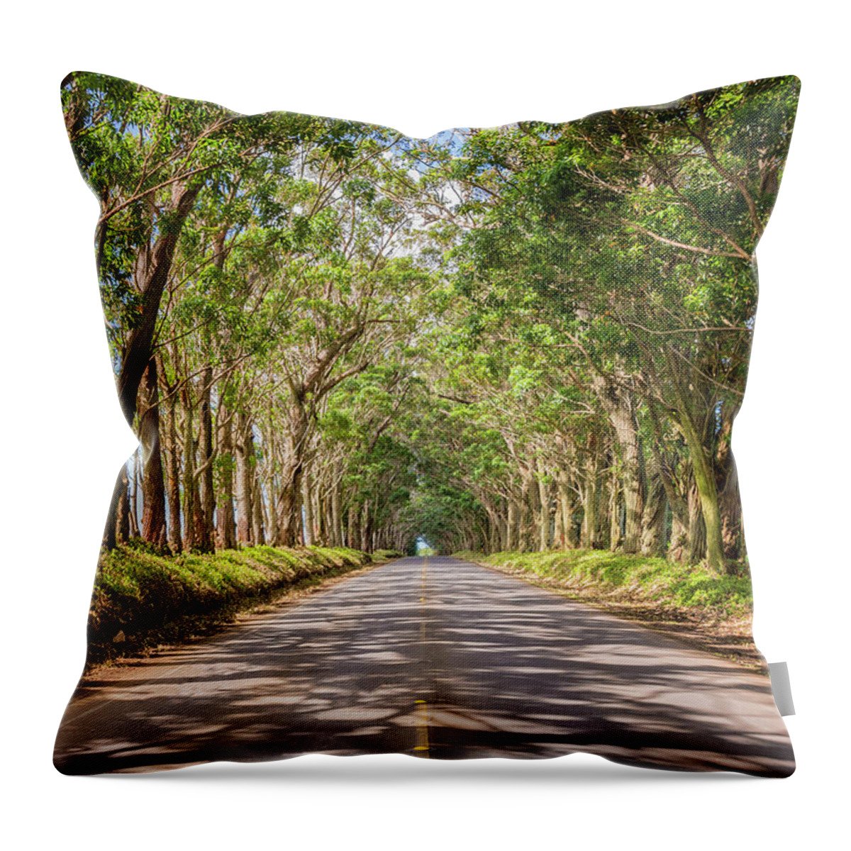 Tree Tunnel Kauai Hawaii Throw Pillow featuring the photograph Eucalyptus Tree Tunnel - Kauai Hawaii by Brian Harig