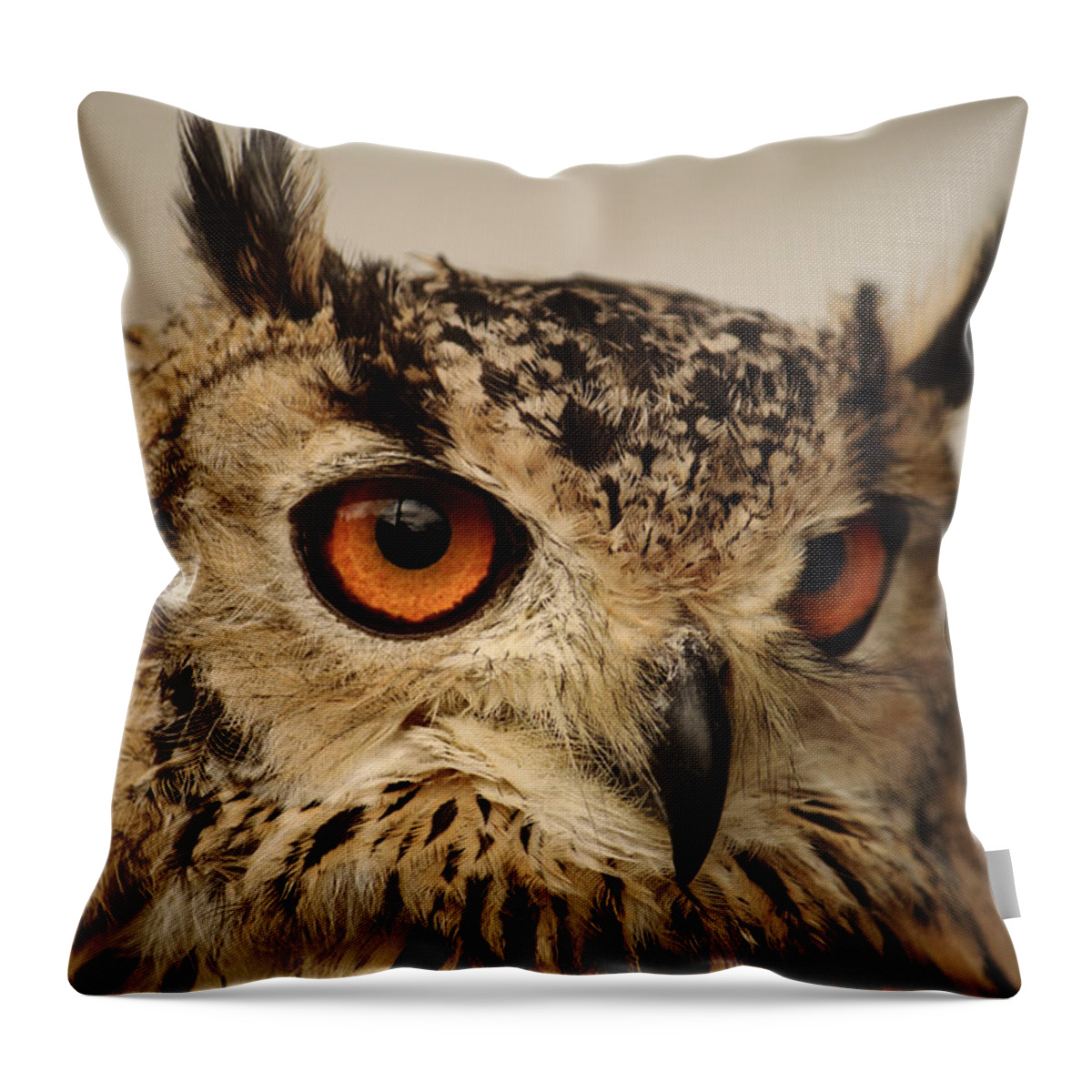 Bird Throw Pillow featuring the photograph Eurasian Eagle Owl Portrait by Adrian Wale