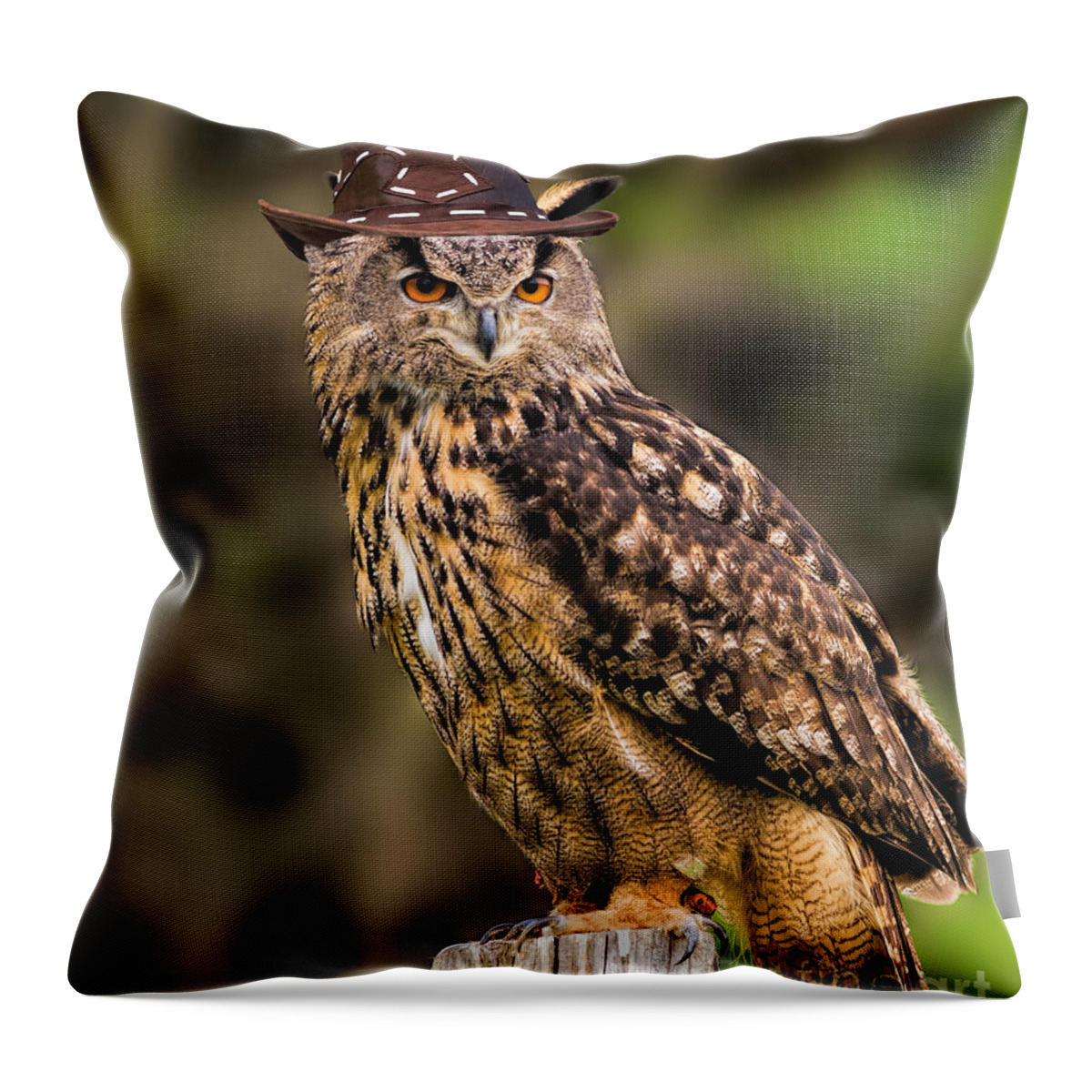 Birds Throw Pillow featuring the photograph Eurasian Eagle Owl with a cowboy hat by Les Palenik